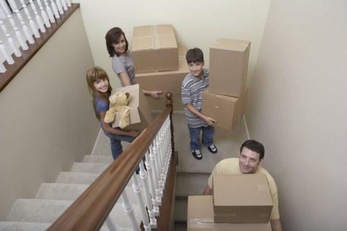 Storage boxes and eco-friendly packing materials for seasonal organisation